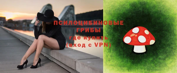 ПСИЛОЦИБИНОВЫЕ ГРИБЫ Алексеевка