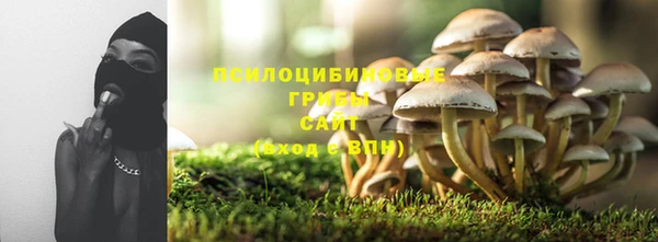 ПСИЛОЦИБИНОВЫЕ ГРИБЫ Алексеевка