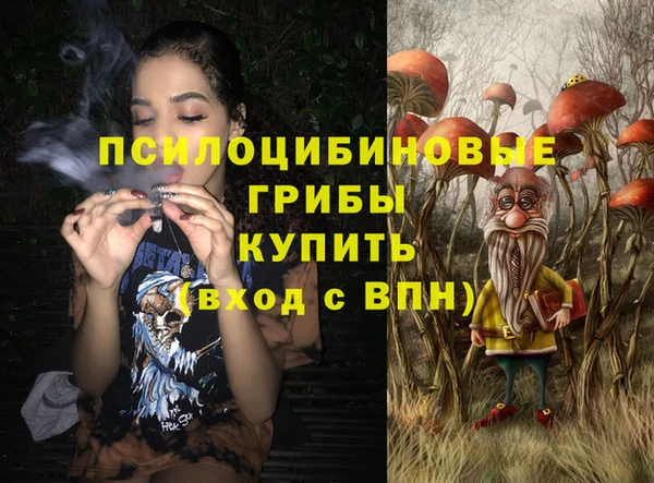 ПСИЛОЦИБИНОВЫЕ ГРИБЫ Алексеевка