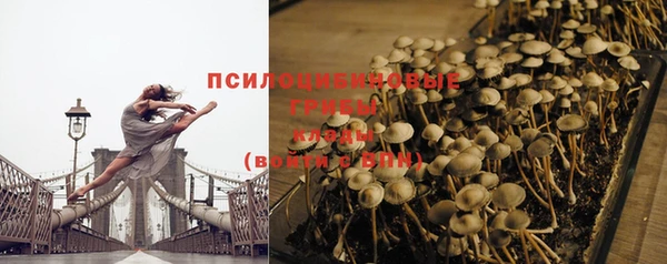 винт Алексин